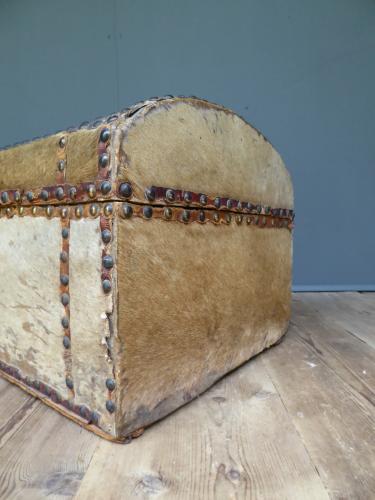 Early Pony Skin Trunk