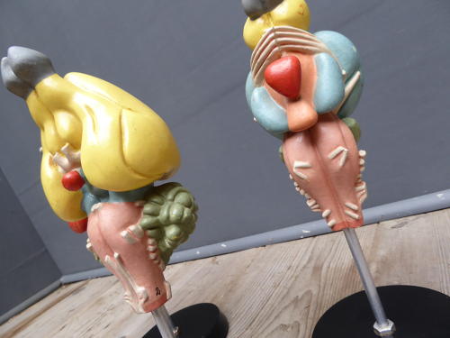 Anatomical Brain Models