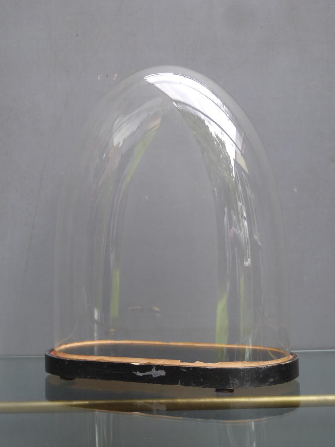 Large Victorian Glass Display Dome