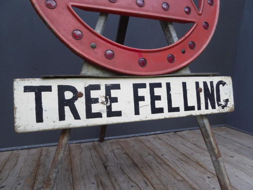 Tree Felling