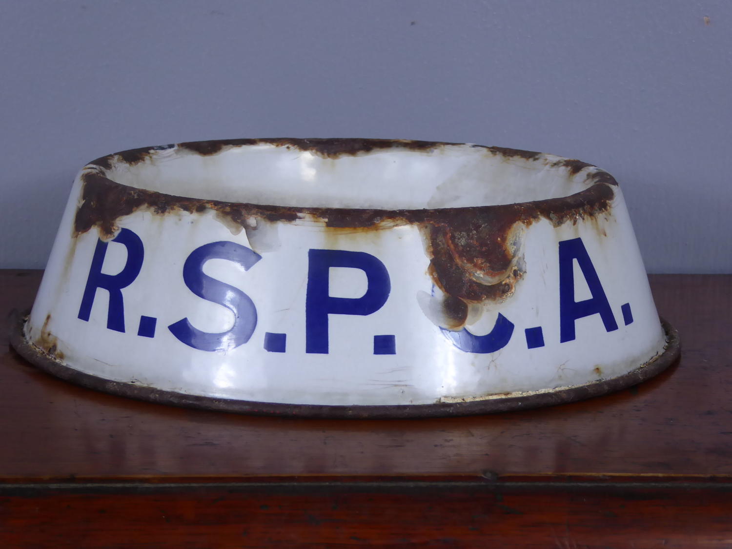 RSPCA Enamel Dog Bowl