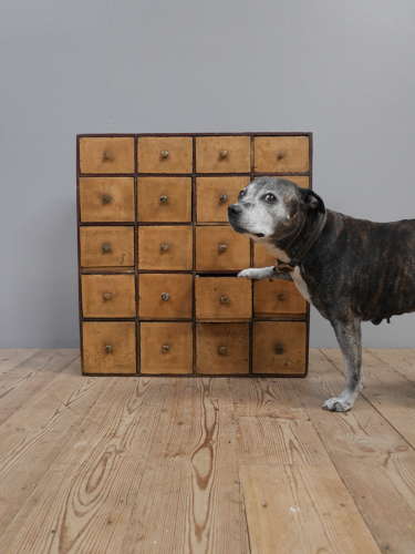 Bank Of 19th Century Seed Drawers