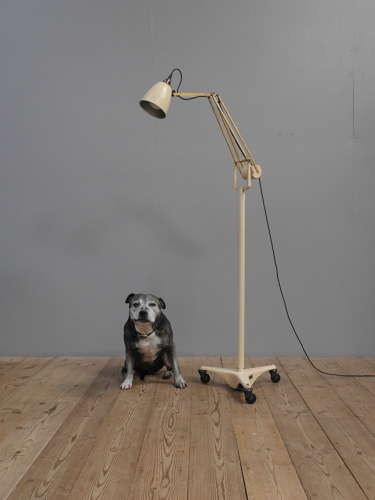Hadrill Horstmann Floor Lamp