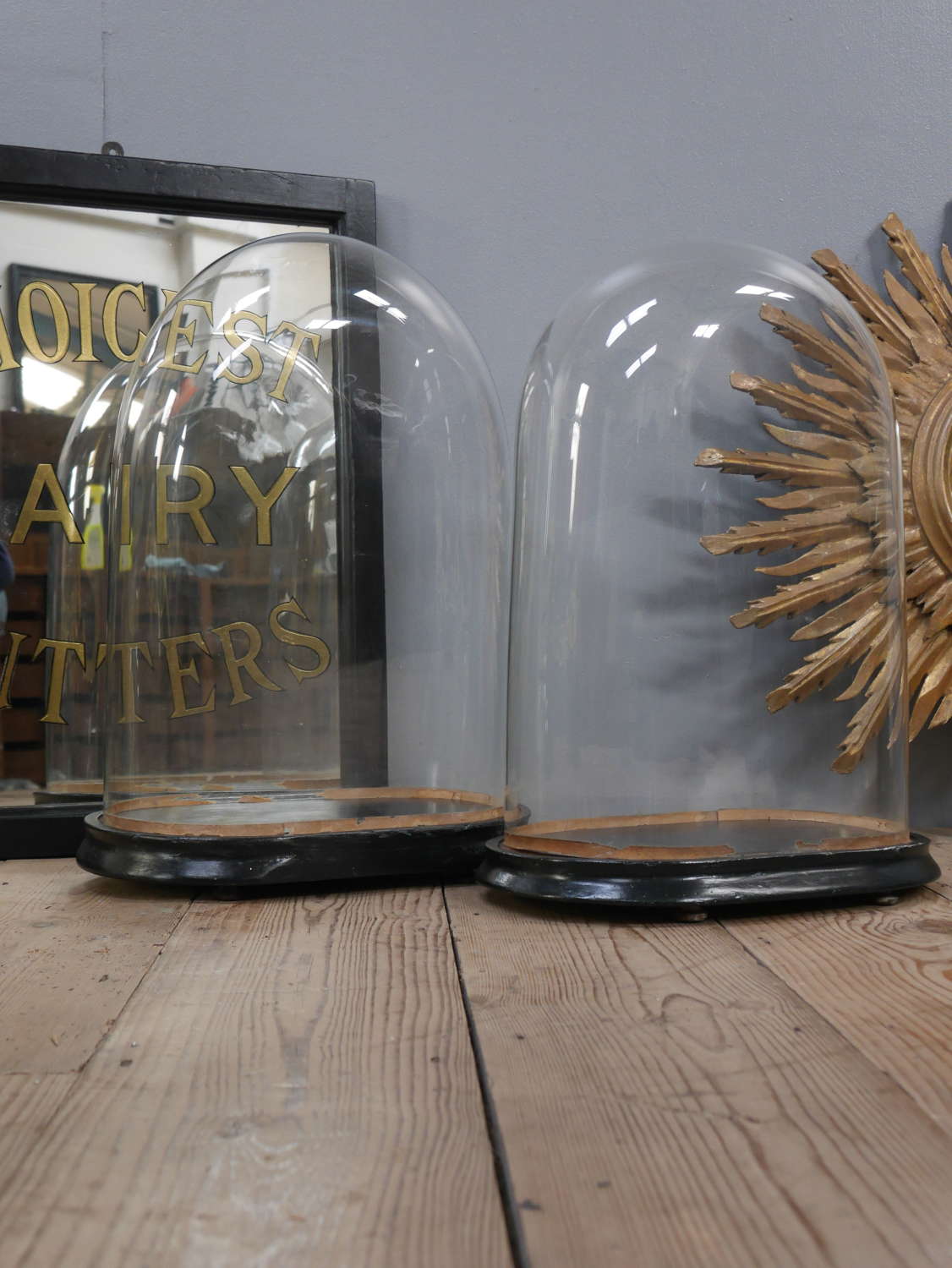 Large 19th Century Glass Display Domes