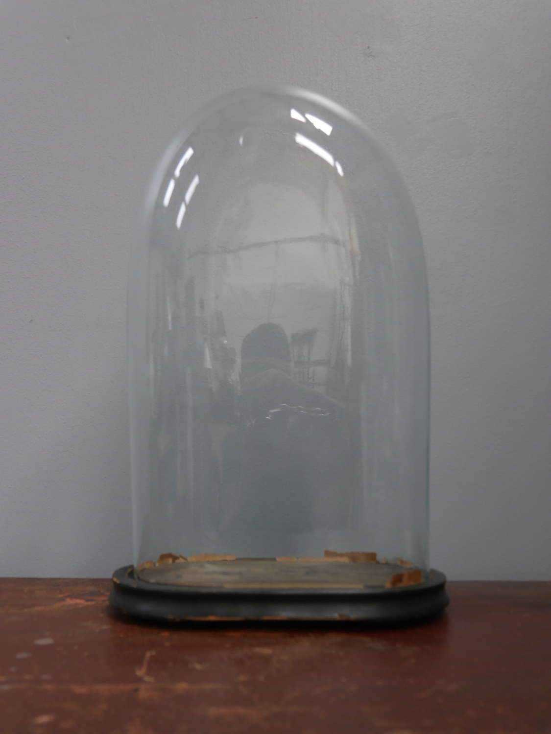 Victorian Glass Display Dome