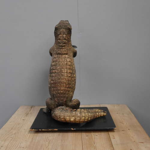 Large Anthropomorphic Taxidermy Croc Butler
