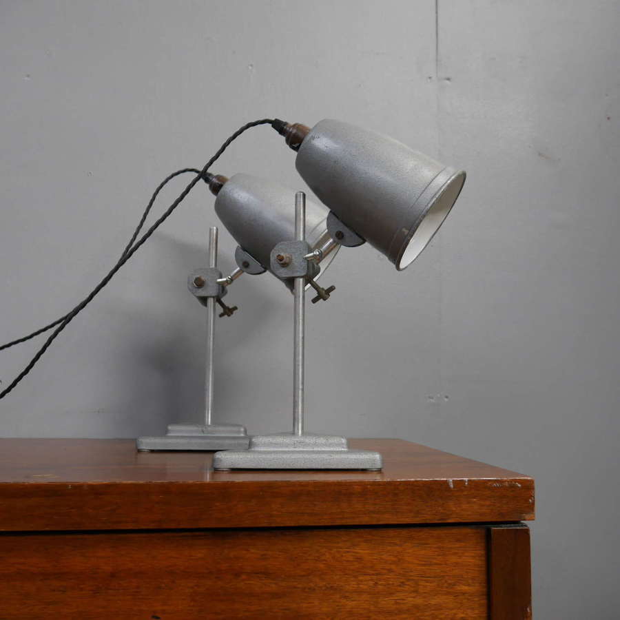 Pair of Lab Lamps