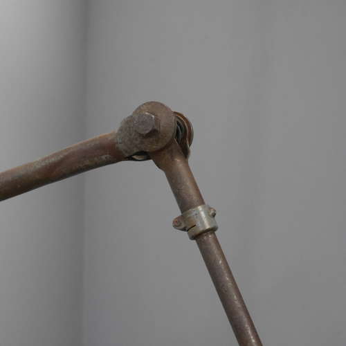 Large Dugdills Lamp