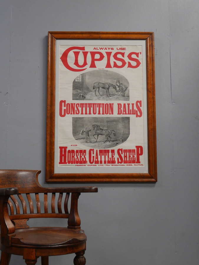 Cupis Constitution Balls Poster in Birds Eye Maple Frame