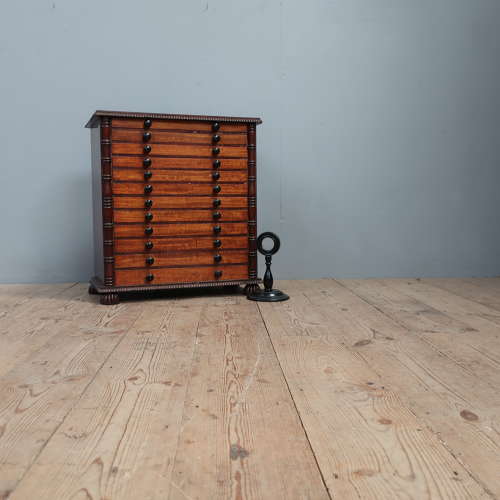 19th Century Specimen Drawers by Parris of Bedford