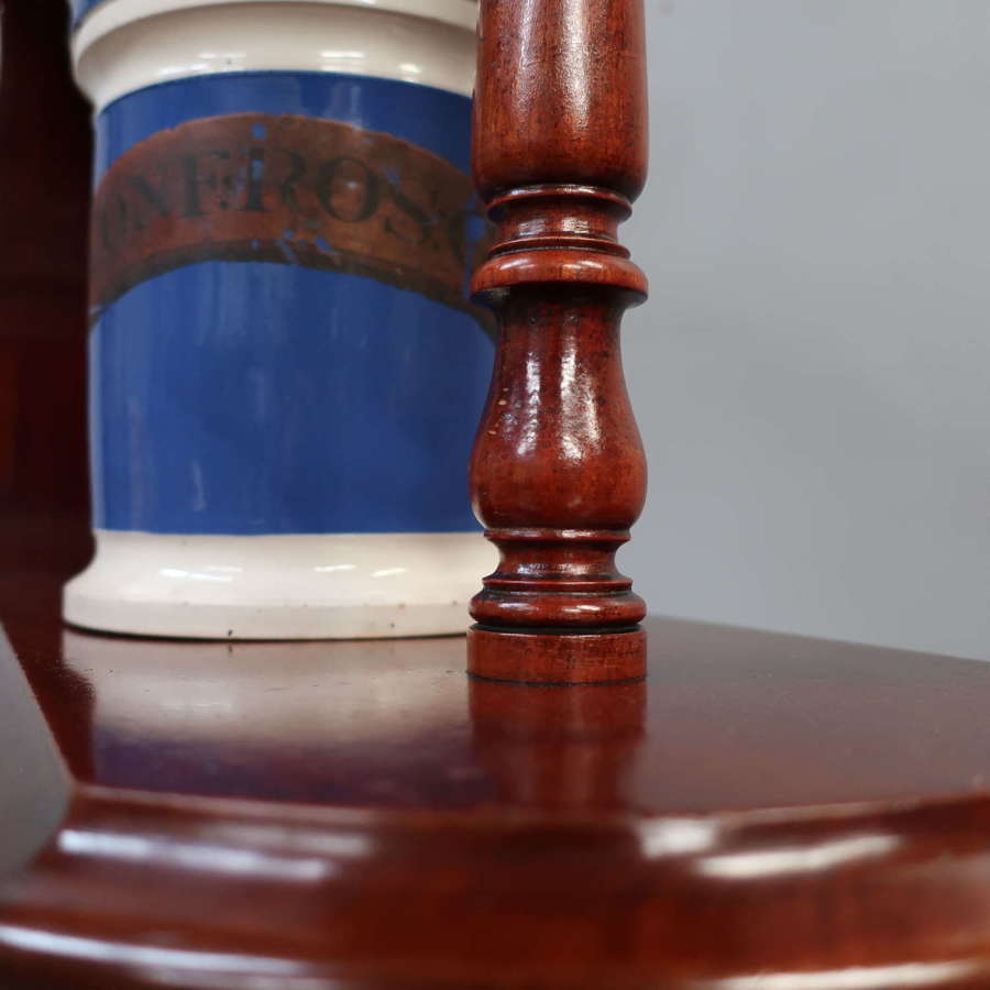 19th Century Parnall Chemist Shelves