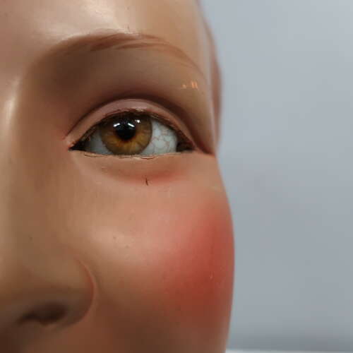 Plaster Mannequin Head