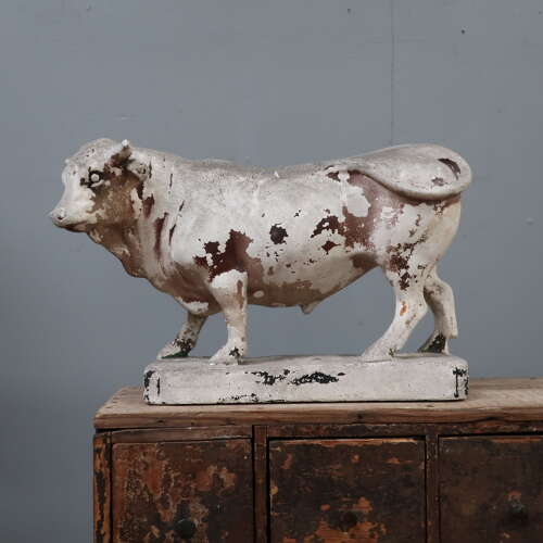 Butchers Bull