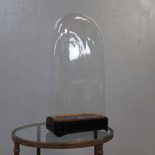 French Square Display Dome c1880