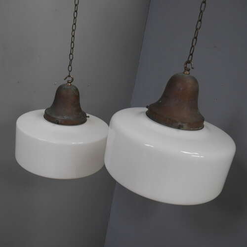 Large Pair of Opalines