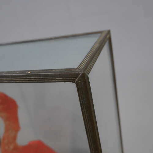 Pair of Cased Taxidermy Scarlet Ibis