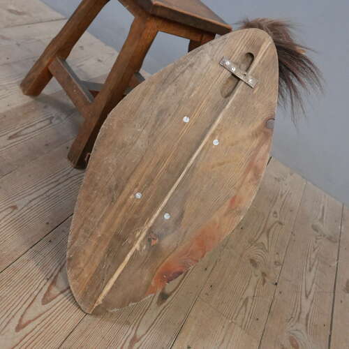Taxidermy Horse Head