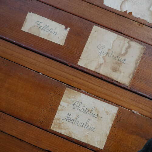 Large Bank of Specimen Drawers